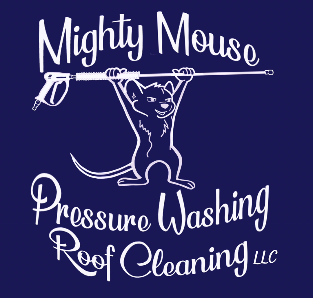 Avatar for Mighty Mouse Pressure Washing and Roof Cleaning, LLC