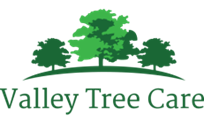 Avatar for Valley Tree Care