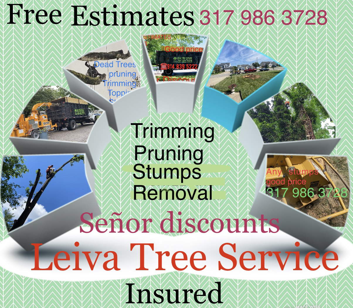 Logo for Leiva Tree Service
