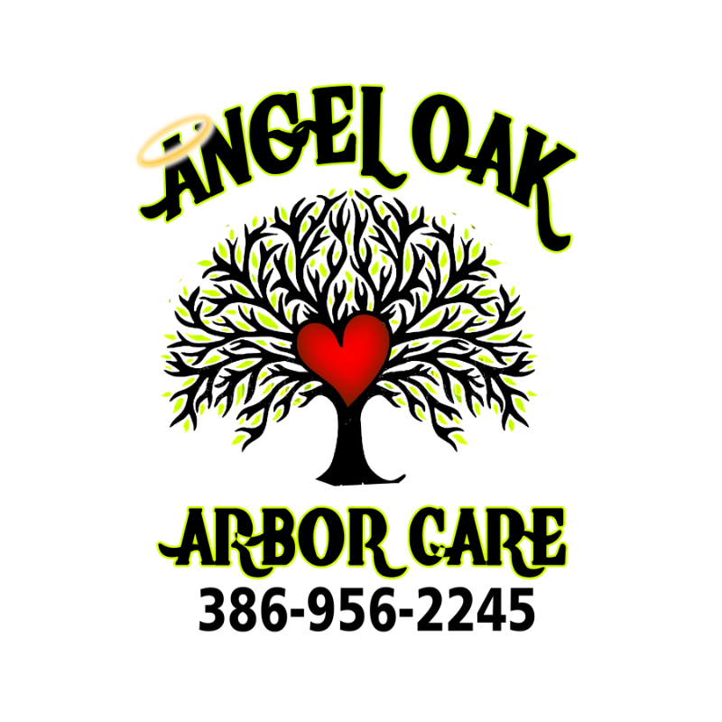 Avatar for Angel Oak Arbor Care