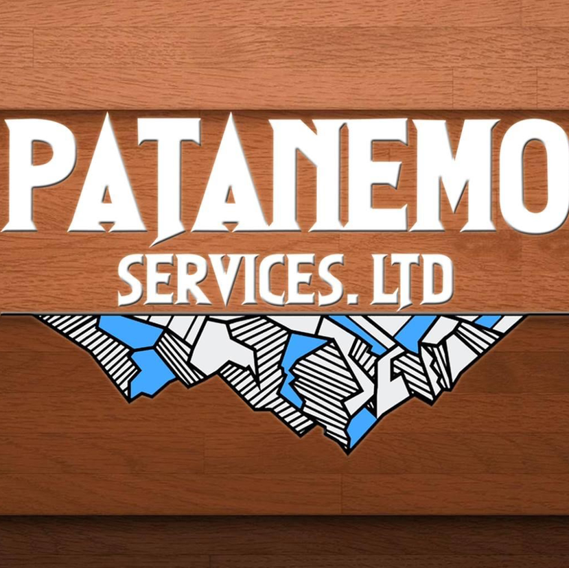 Avatar for Patanemo Services, Ltd.