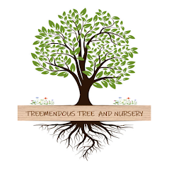 Logo for Treemendous Tree and Nursery
