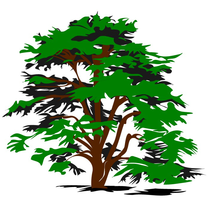 Trees R Us,LLC logo