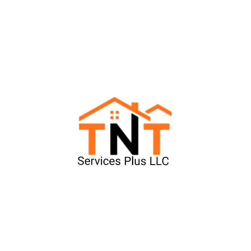 TNT services plus llc logo