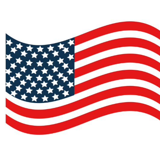 Logo for Patriot Painting LLC