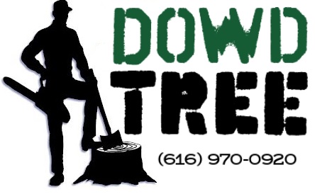 Avatar for Dowd Tree