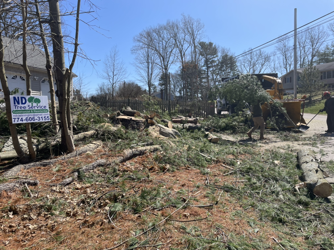 Logo for ND Tree Service & Junk Remove