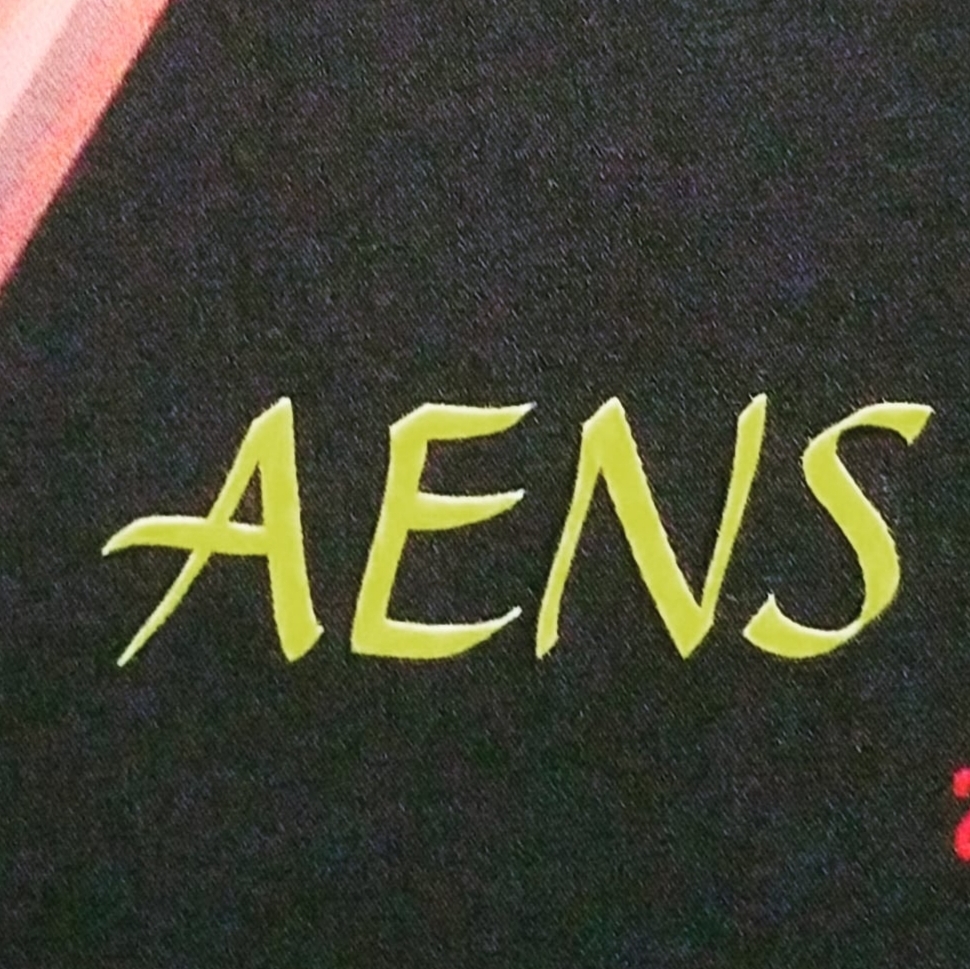Logo for Aens electrical services