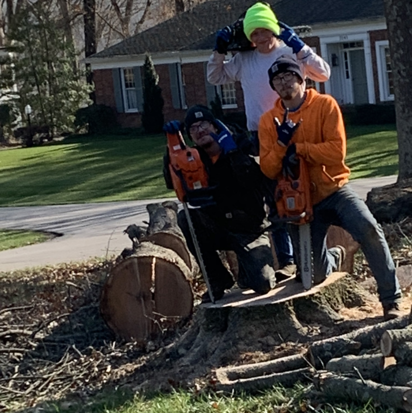 Avatar for Martins tree service