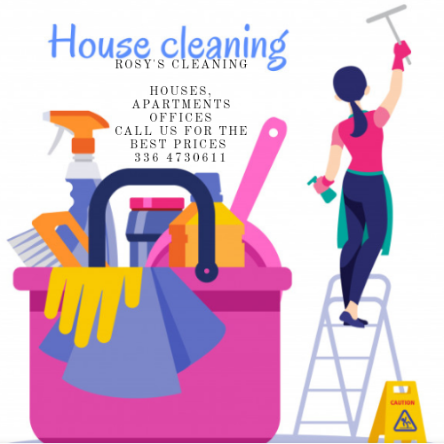 Logo for Rosy's Cleaning