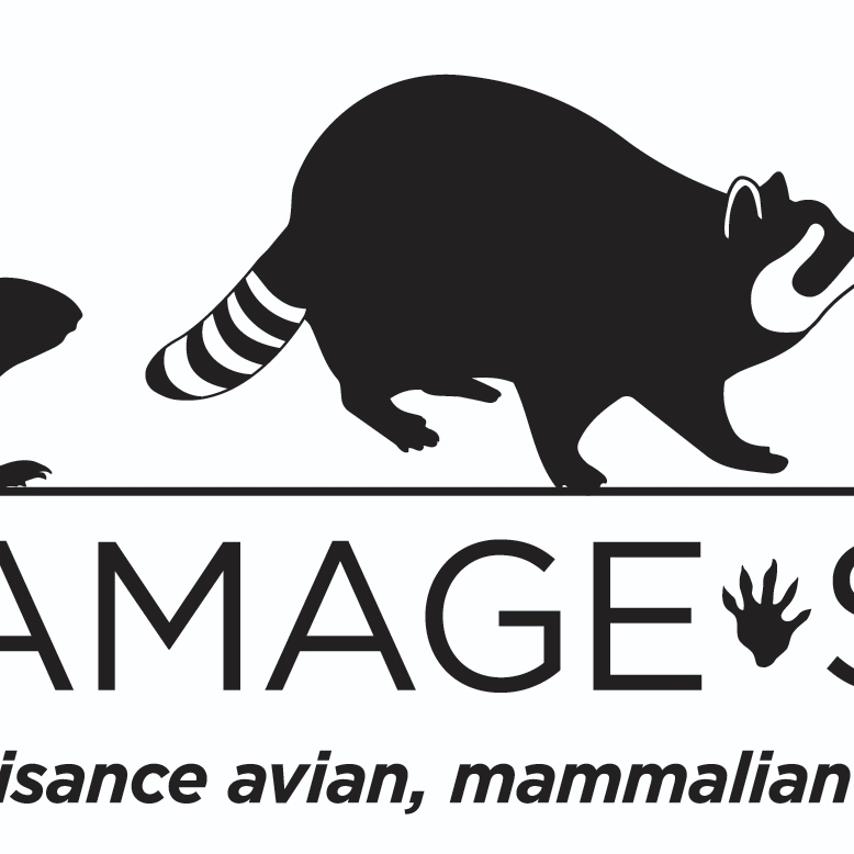 wildlife damage solutions llc logo
