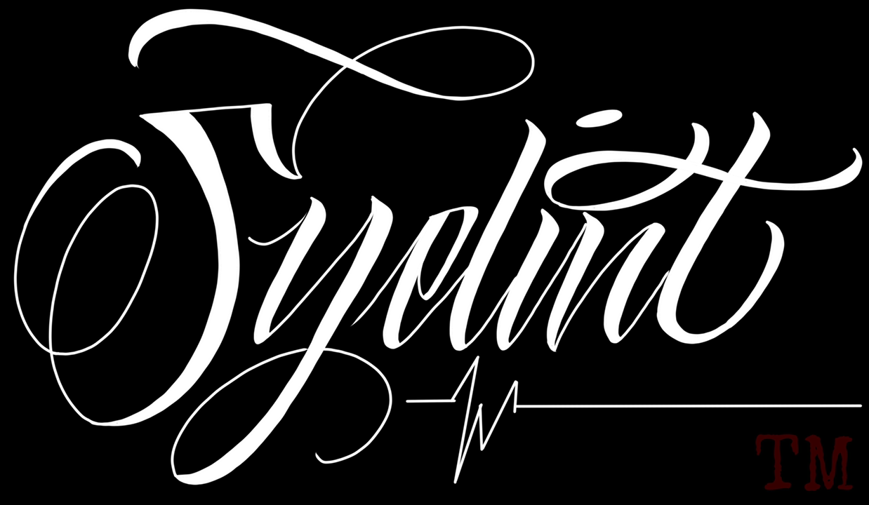 Syelint Maintenance logo