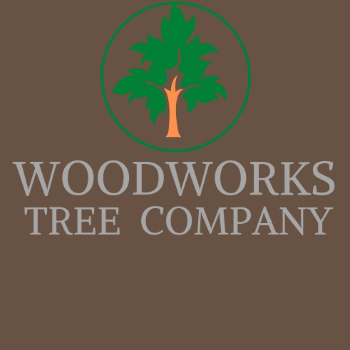 Avatar for Woodworks Tree Company