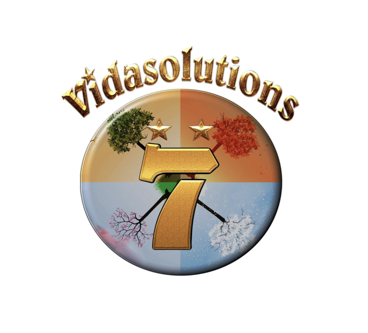 Vida Solutions logo