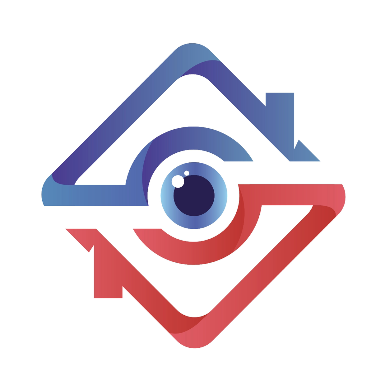 Avatar for Custom Cameras and Security