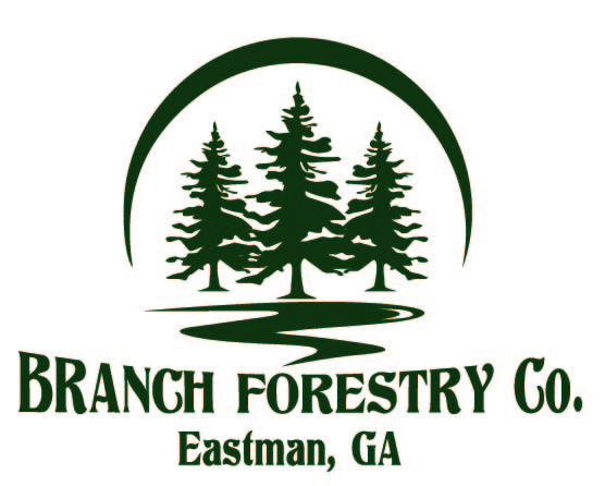 Branch Forestry Co logo