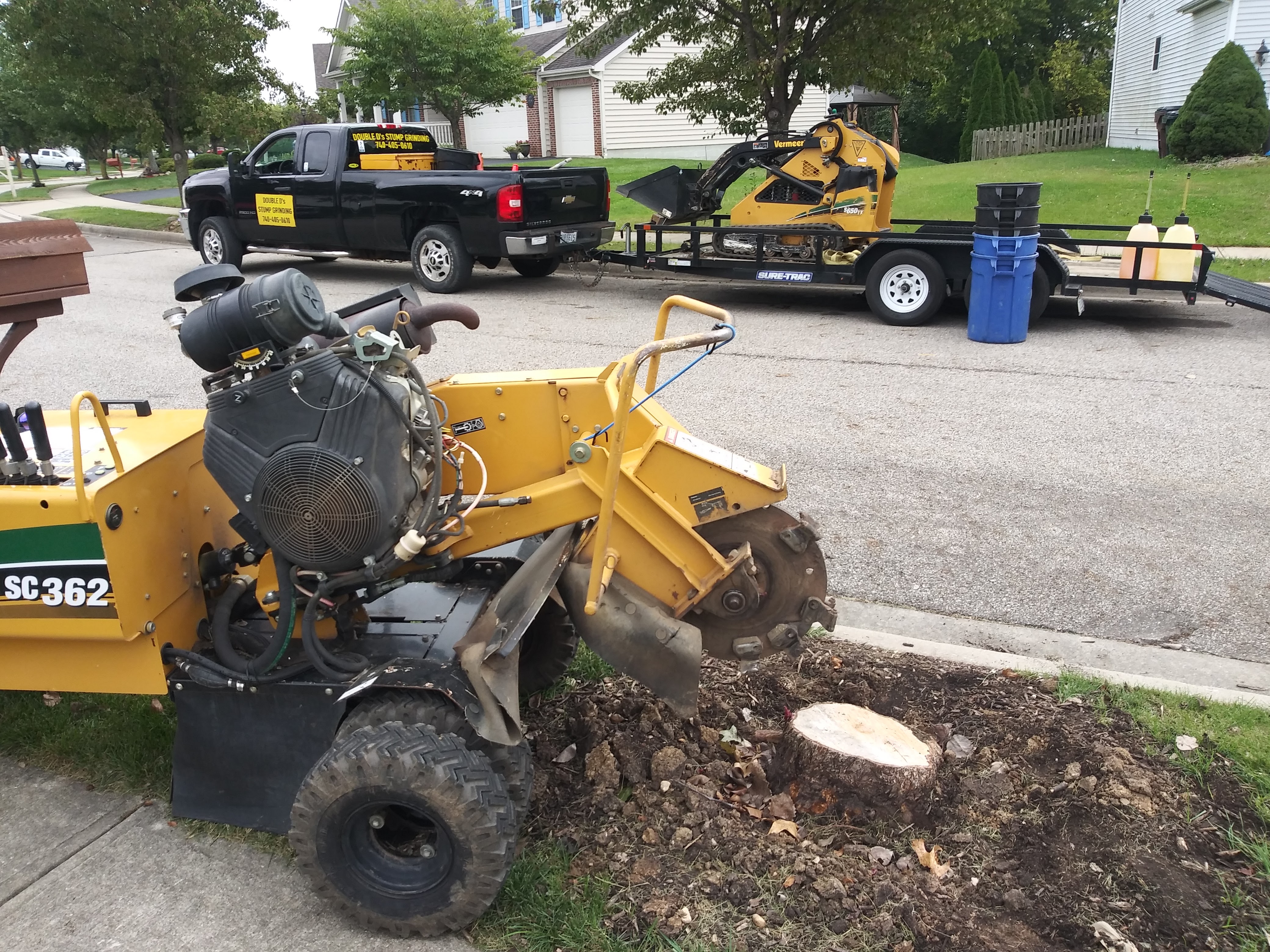 Logo for Double ds Stump Grinding , tree felling
