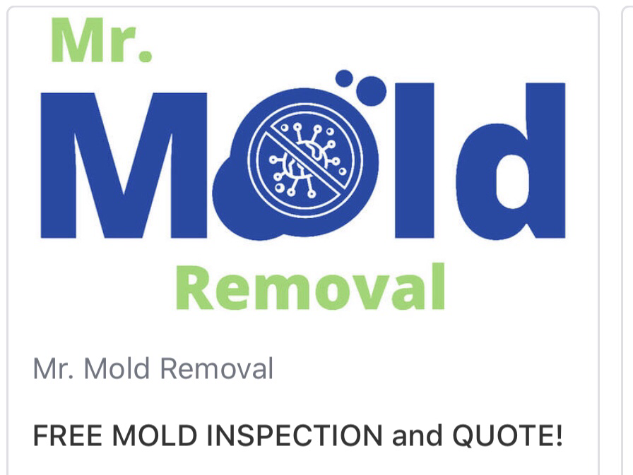 Avatar for Mr Mold Removal