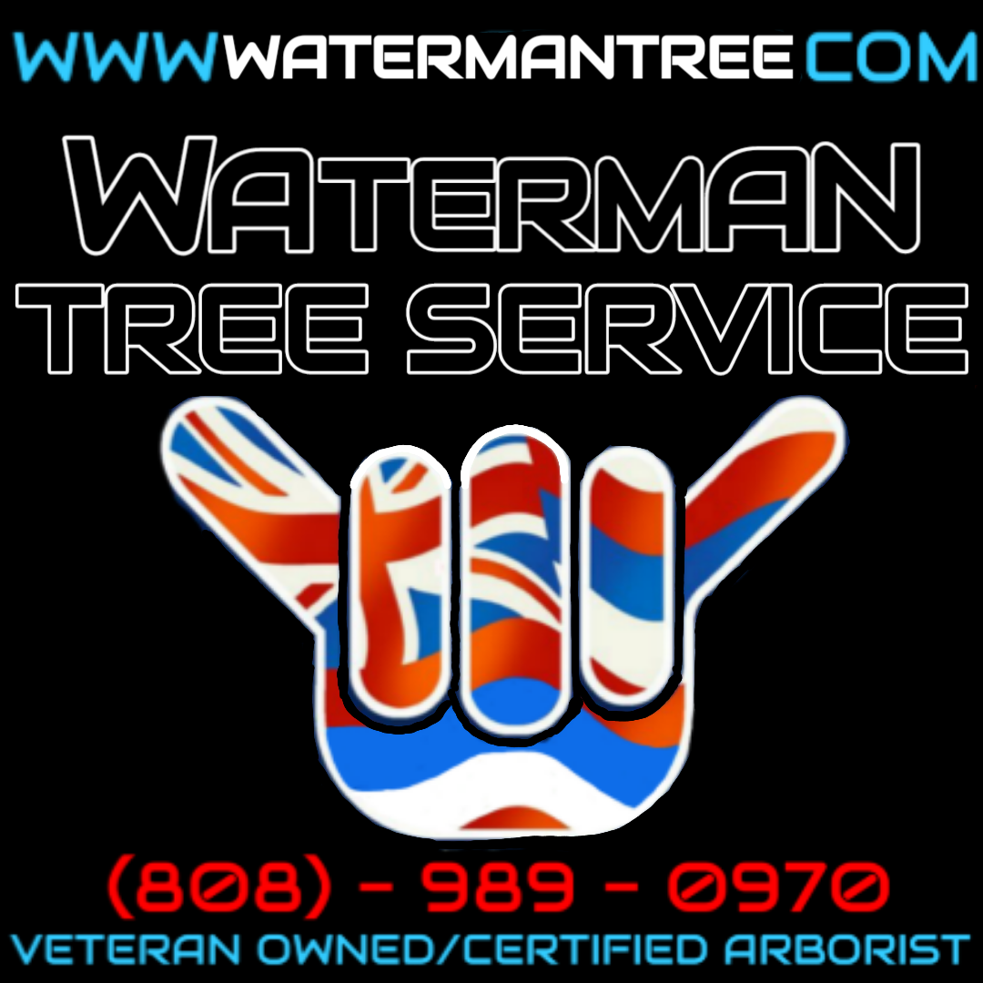 Waterman Tree Service LLC logo
