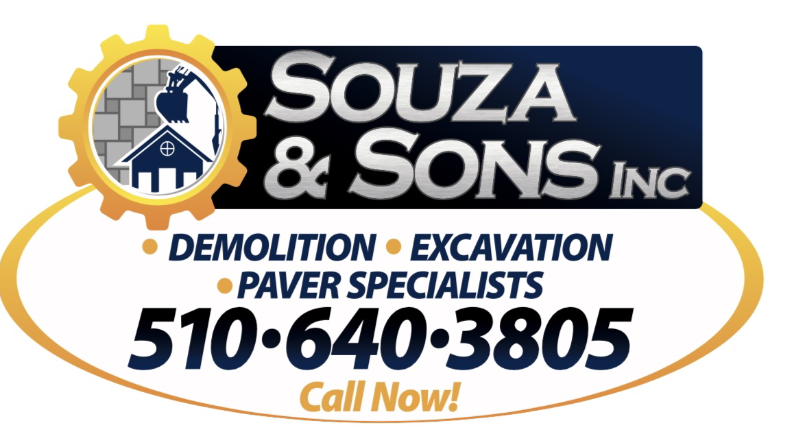 Souza & Sons Inc logo
