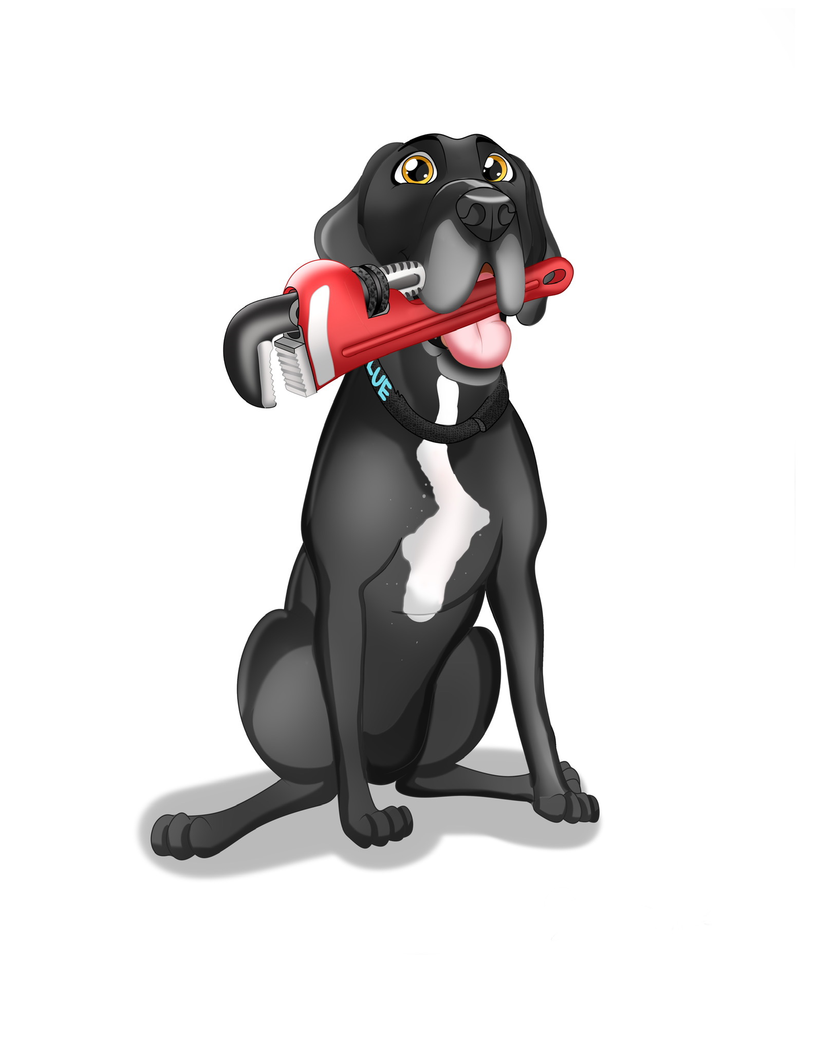 Avatar for Big Dawg's Plumbing