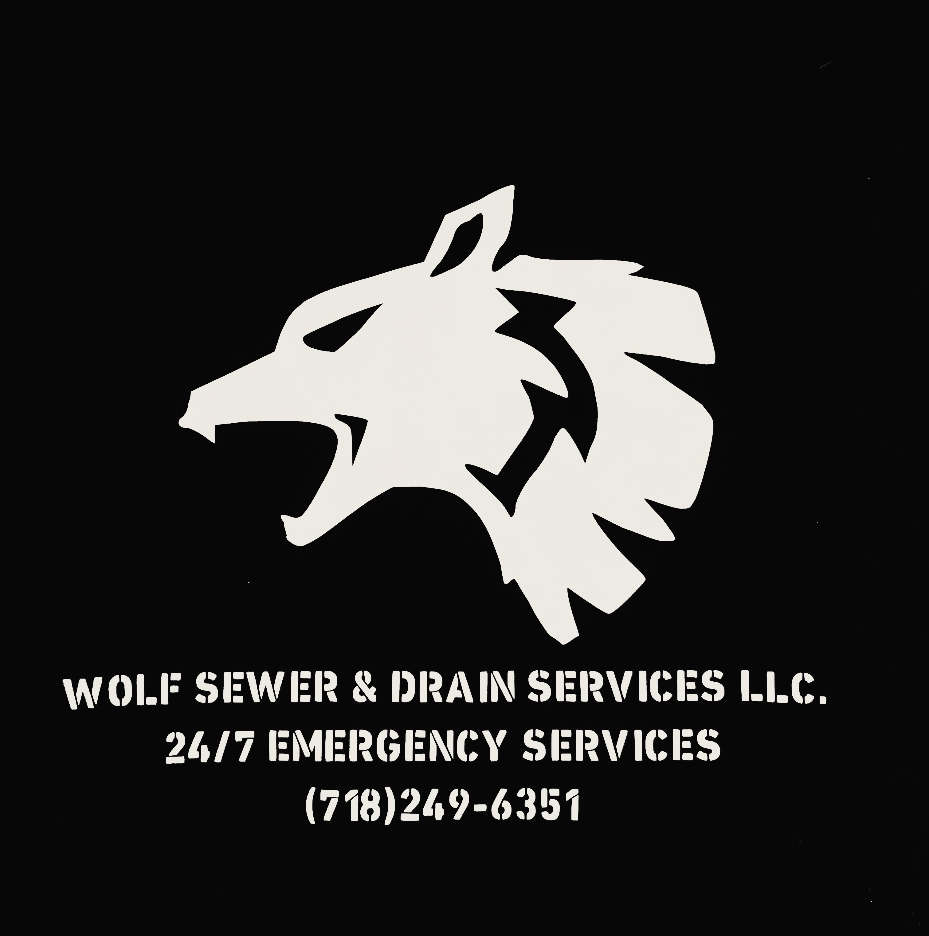 Logo for Wolf Sewer And Drain Services LLC.
