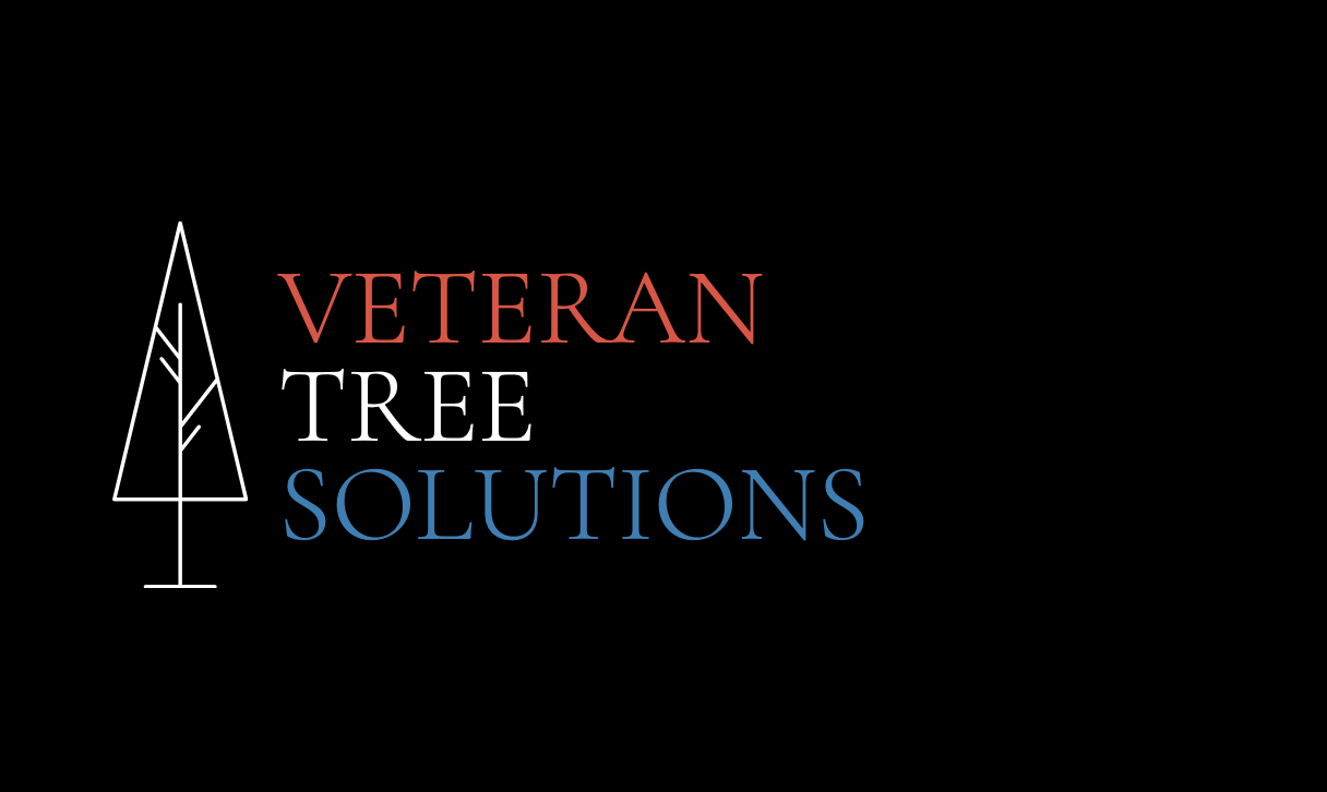Logo for Veteran Tree Solutions