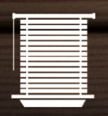 The Blind Guy of Wisconsin logo
