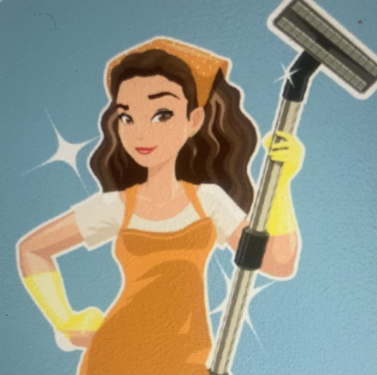 Avatar for Swept Away Cleaning Service Ltd.
