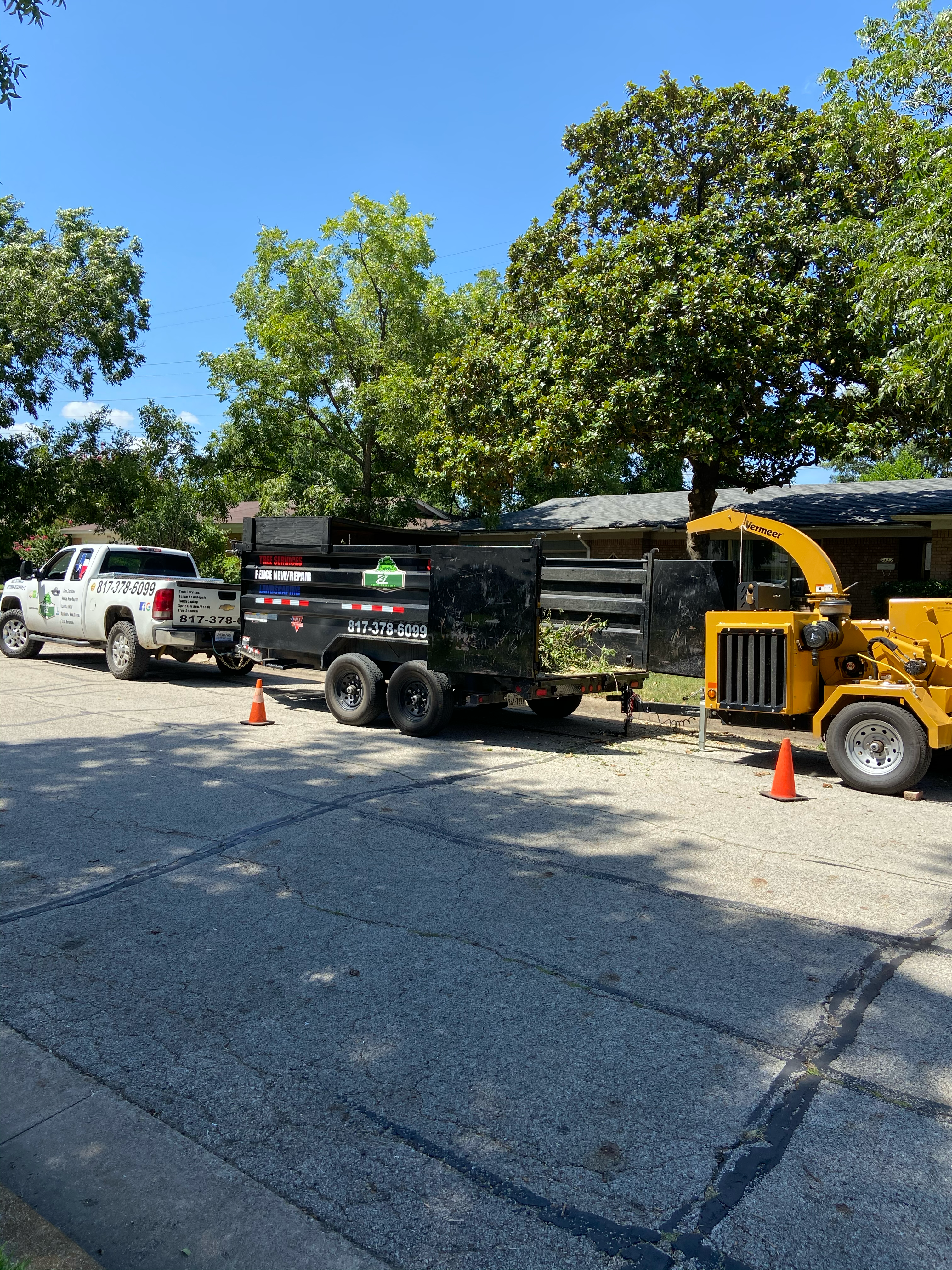 Avatar for EZ Tree Service