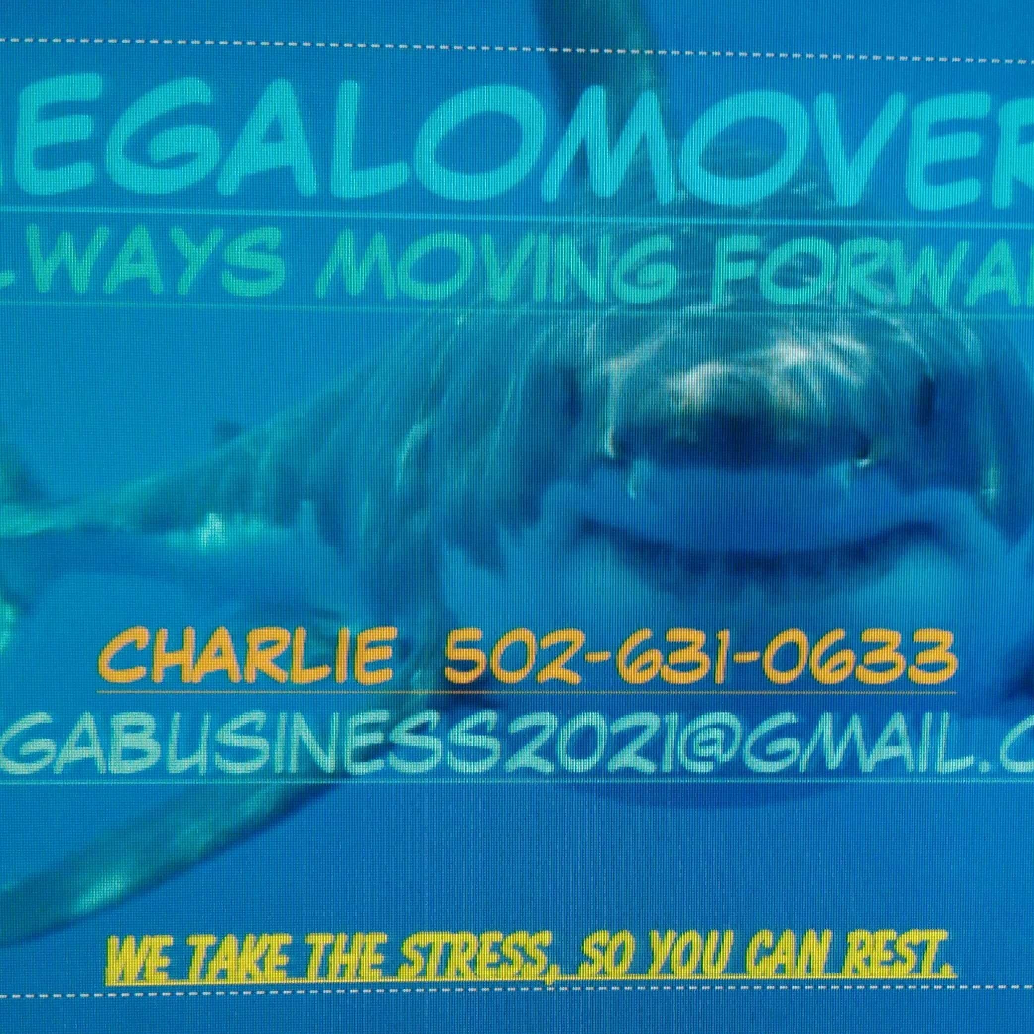 Avatar for MegaloMovers
