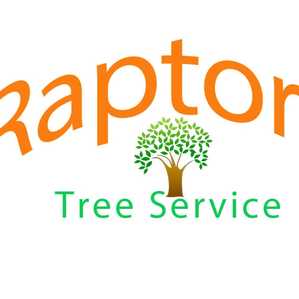 Logo for Raptors Tree Service & Landscaping