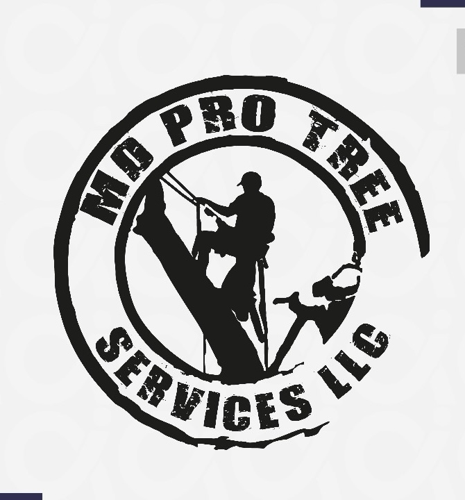 MD Pro Services LLC logo