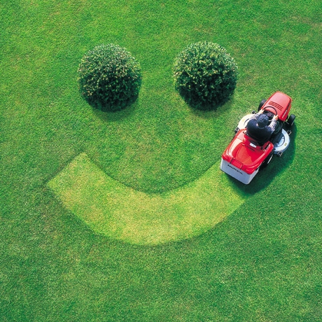 Avatar for Create My Lawn LLC