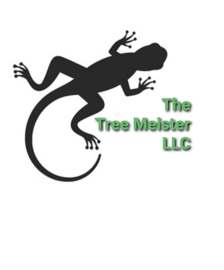 Avatar for The Tree Meister LLC