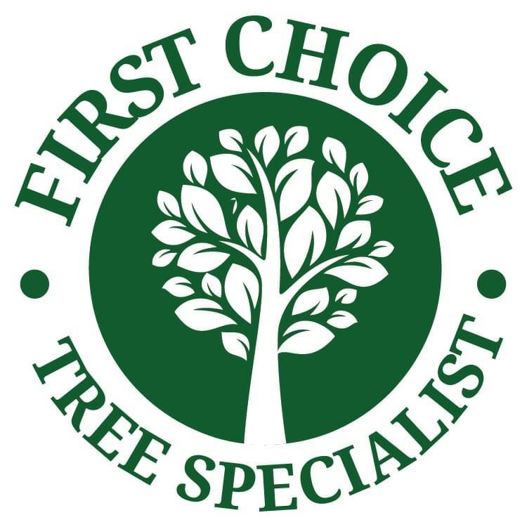 Avatar for First Choice Tree Specialist