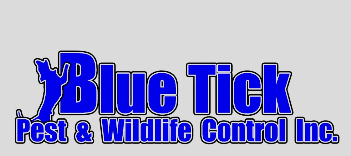 Avatar for Blue Tick Pest & Wildlife Control Inc.