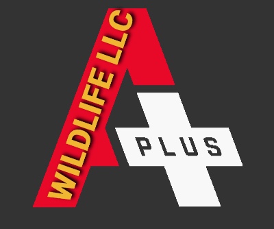 A Plus Wildlife logo