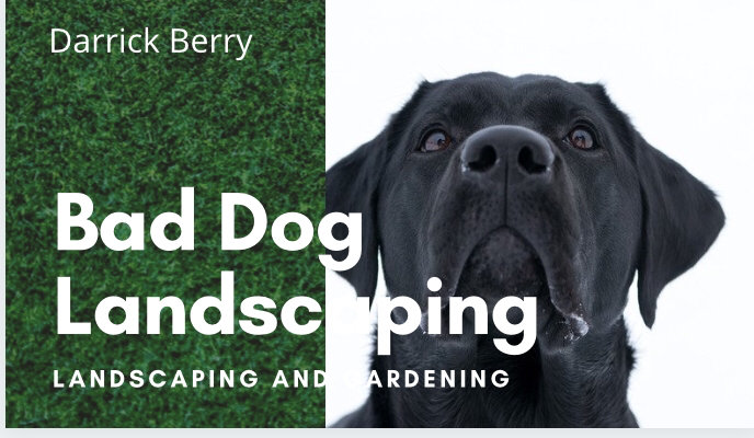 Avatar for Bad Dog Landscaping