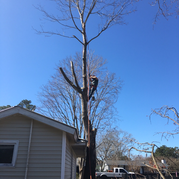 Avatar for Stewart Brothers Tree Service