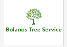 Logo for Bolanos tree service