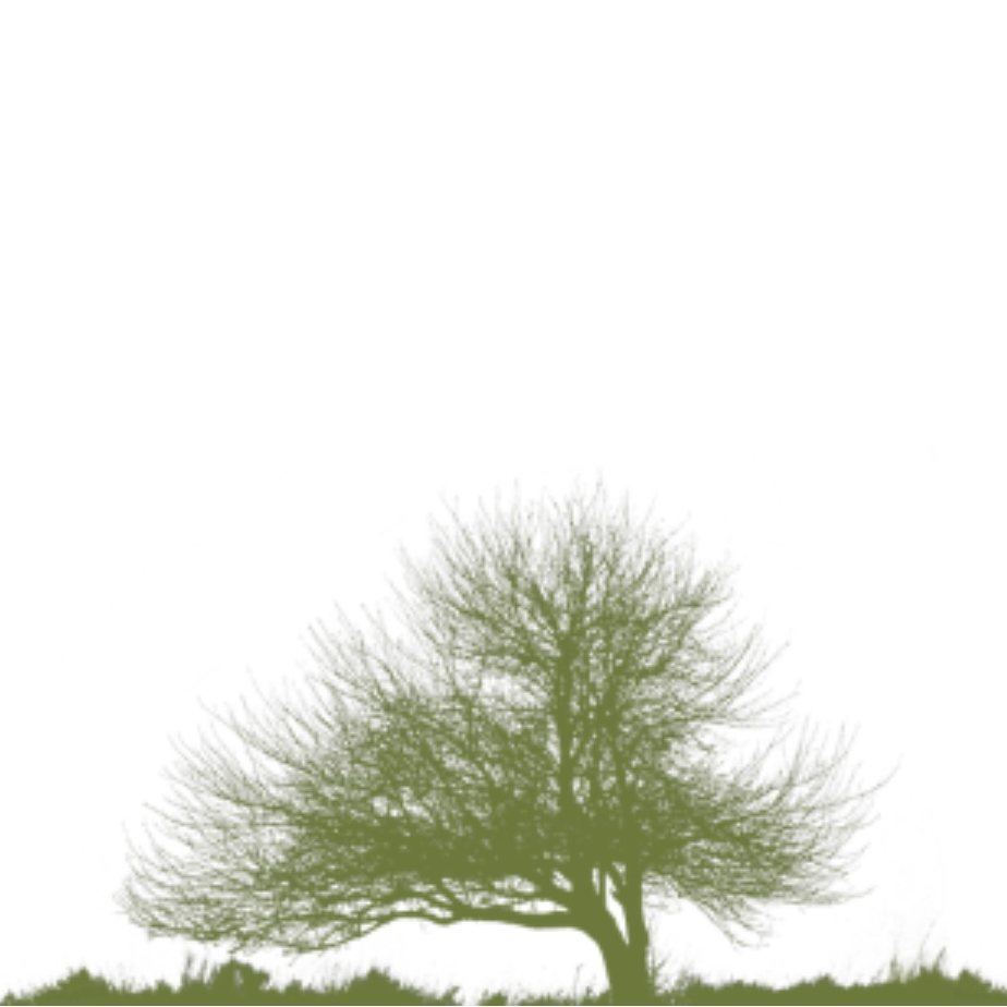 S&F Landscaping and Snow Removal LLC logo