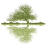 Avatar for C&R Brothers Llc