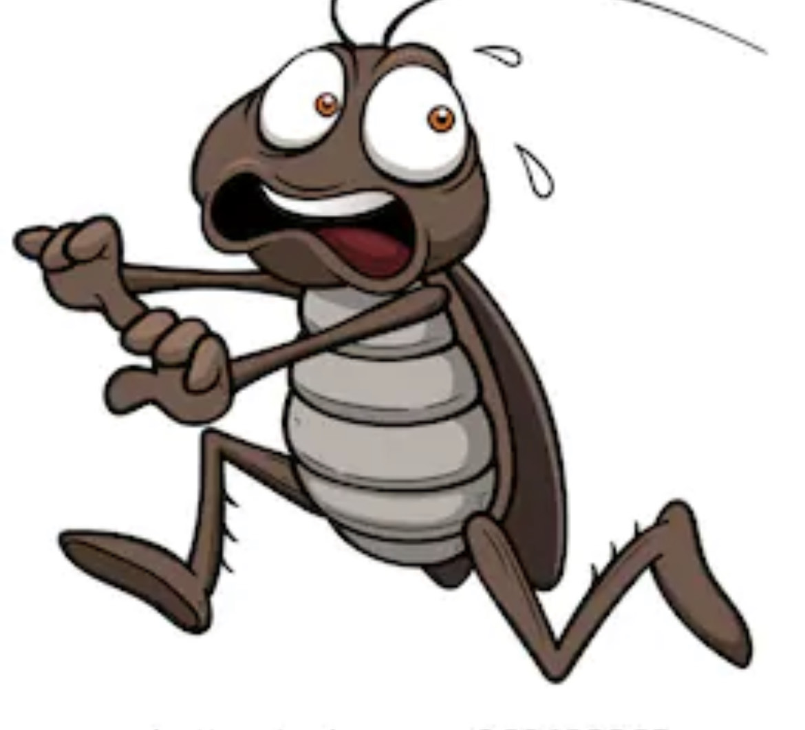Avatar for BugABoo Exterminators