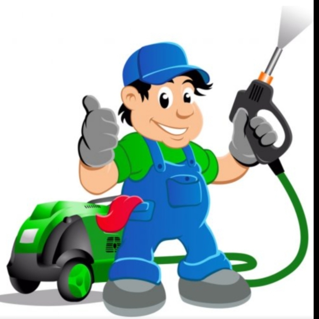 Best buds pressure washing logo