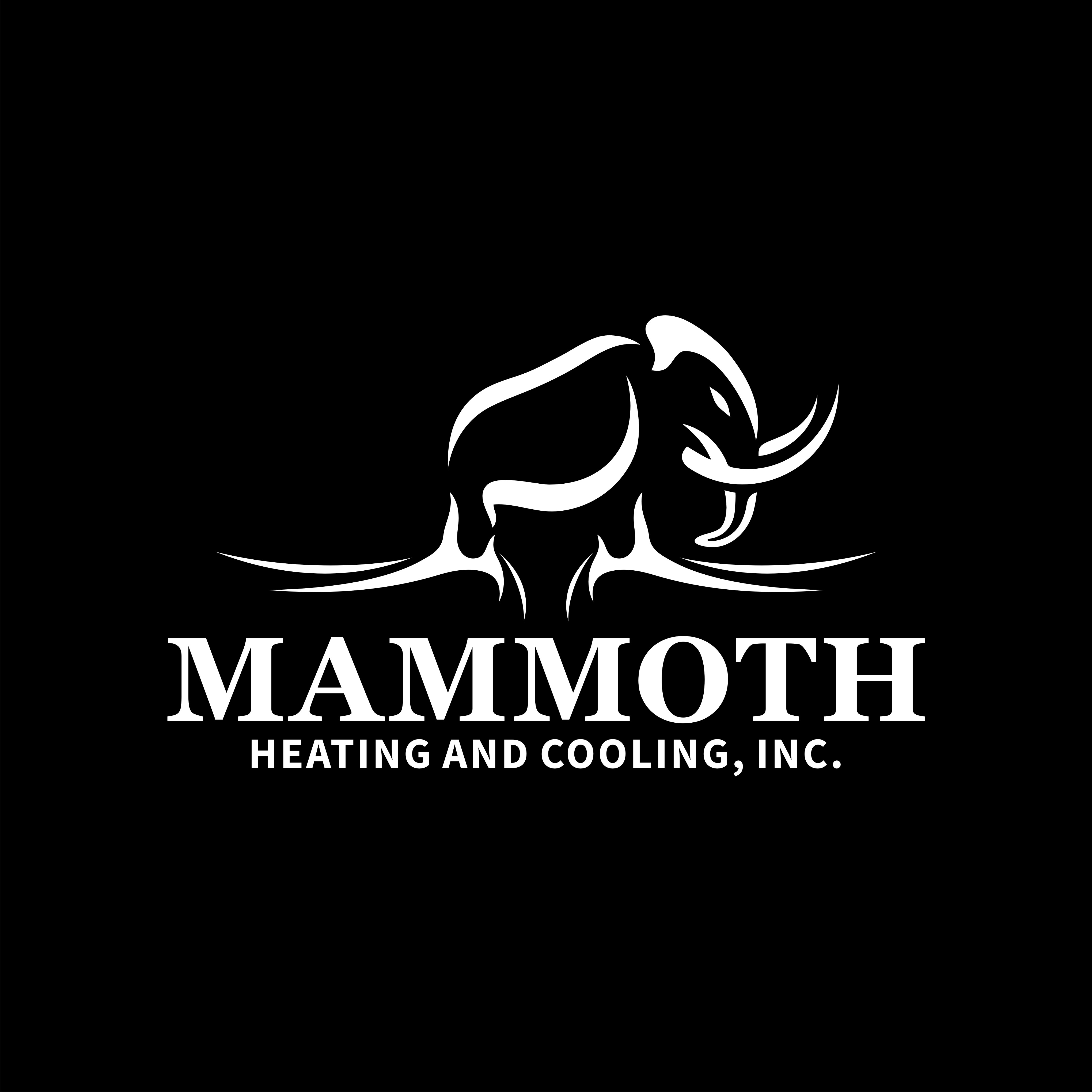 Avatar for Mammoth Heating and Cooling LLC
