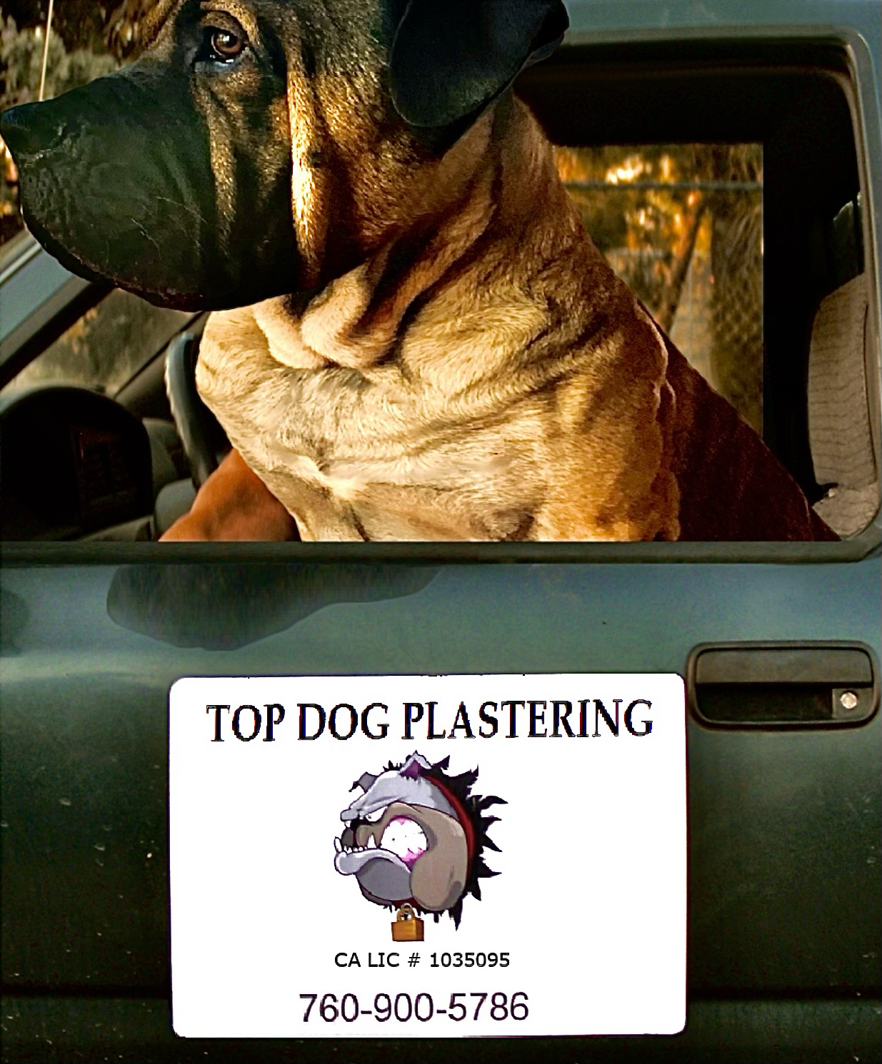 Logo for Top Dog plastering