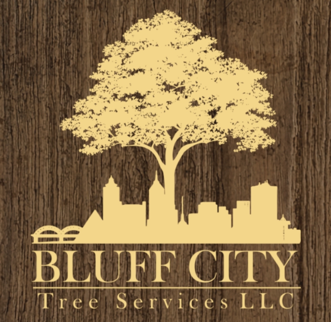 Avatar for Bluff City Tree Service, LLC.