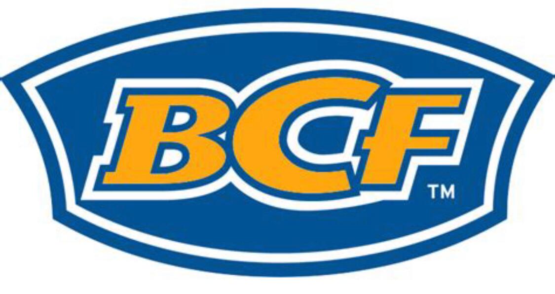 Logo for BCF Cleaning