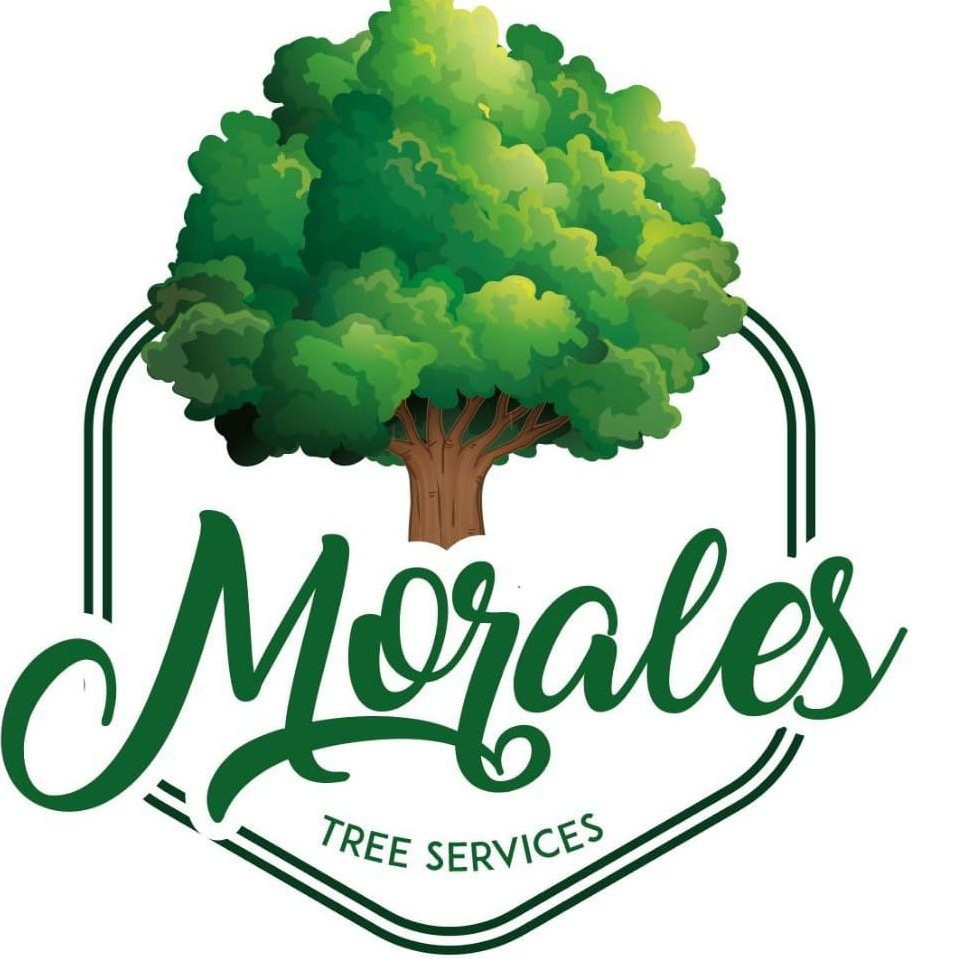 Avatar for Etna Tree Service